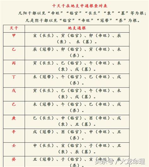 八字通根|简析八字命理中的通根 – 八字坐库通根方法